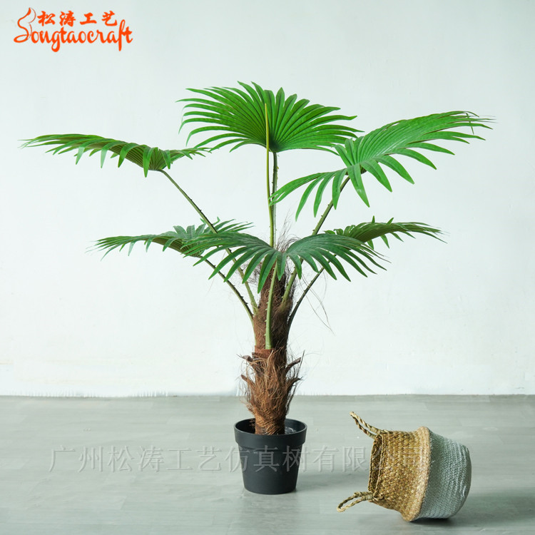 仿真手感葵樹