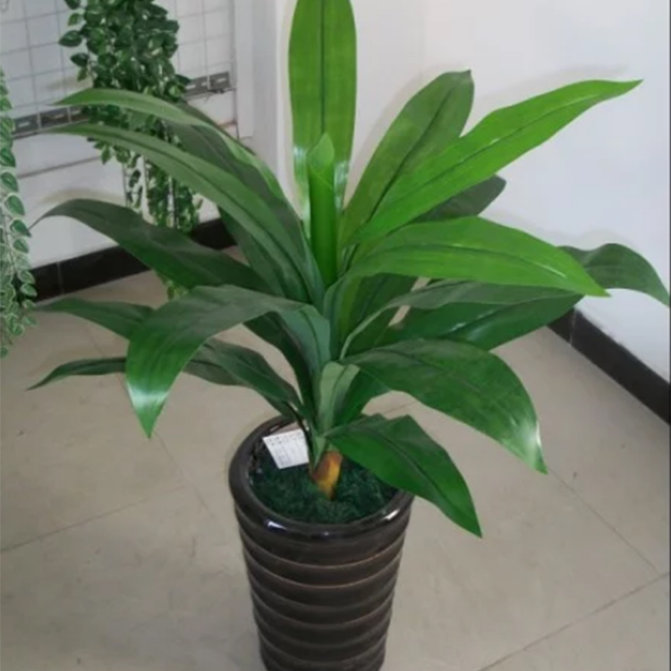 關于仿真植物的知識你知道多少？