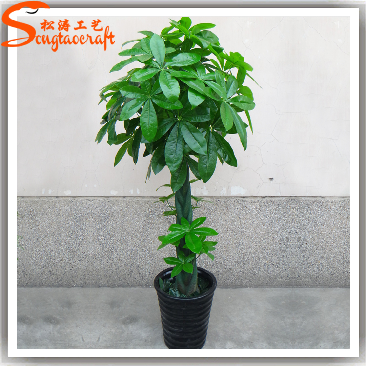 室內仿真植物哪種好？